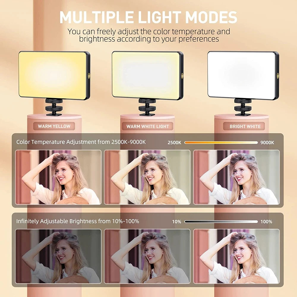 Portable LED Video Light