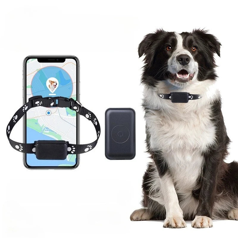 Smart GPS Pet Locator