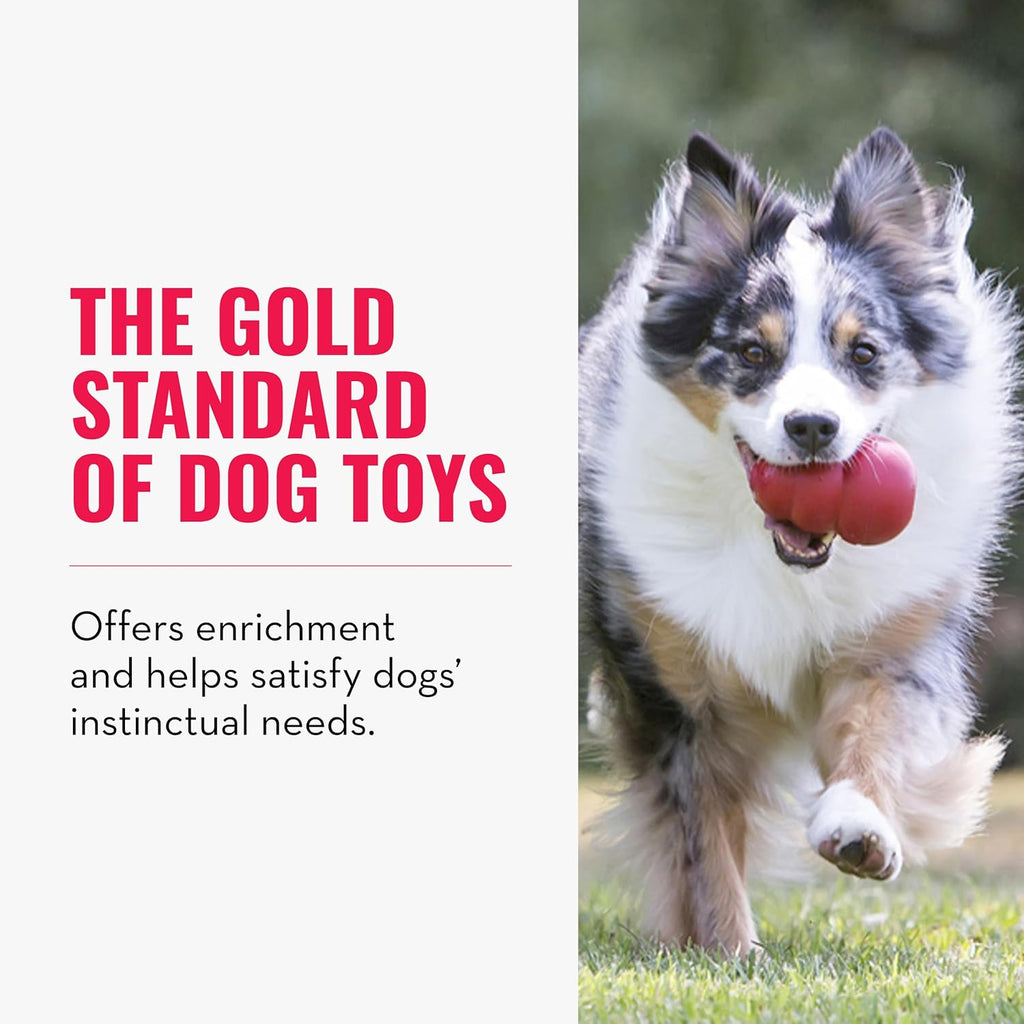 Classic Stuffable Dog Toy - Fetch & Chew Toy for Dogs - Treat-Filling Capabilities & Erratic Bounce for Extended Play Time - Durable Natural Rubber Material - for Large Dogs