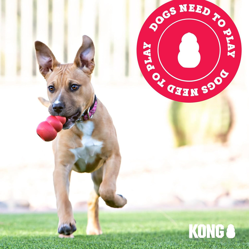 Classic Stuffable Dog Toy - Fetch & Chew Toy for Dogs - Treat-Filling Capabilities & Erratic Bounce for Extended Play Time - Durable Natural Rubber Material - for Large Dogs